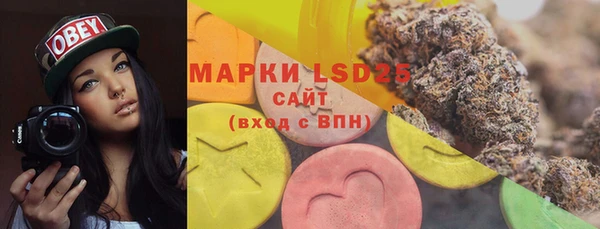ГАЛЛЮЦИНОГЕННЫЕ ГРИБЫ Алексин