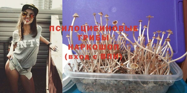 спиды Алексеевка