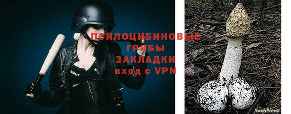 ГАЛЛЮЦИНОГЕННЫЕ ГРИБЫ Алексин