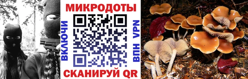 Псилоцибиновые грибы Magic Shrooms купить сайты Апшеронск